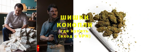 сатива Володарск