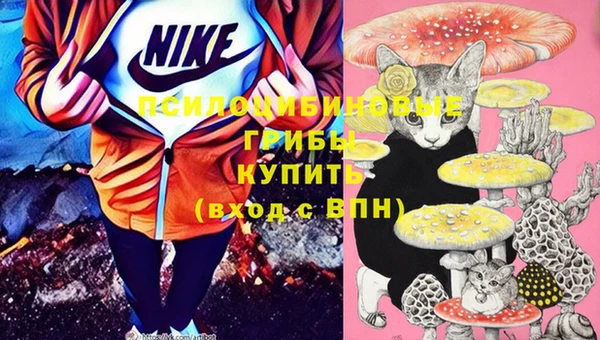 стаф Волоколамск