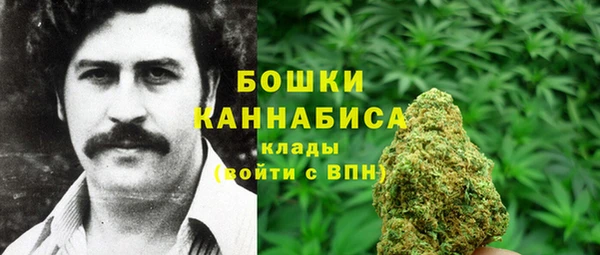 сатива Володарск