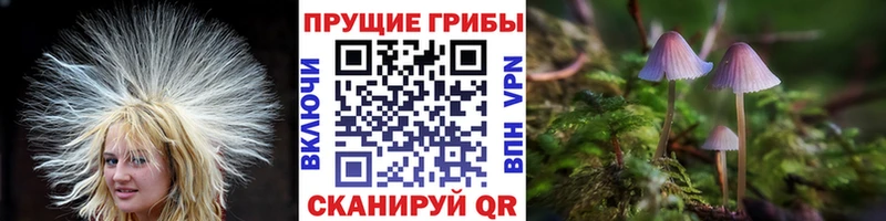 Псилоцибиновые грибы MAGIC MUSHROOMS  KRAKEN как зайти  Вяземский 